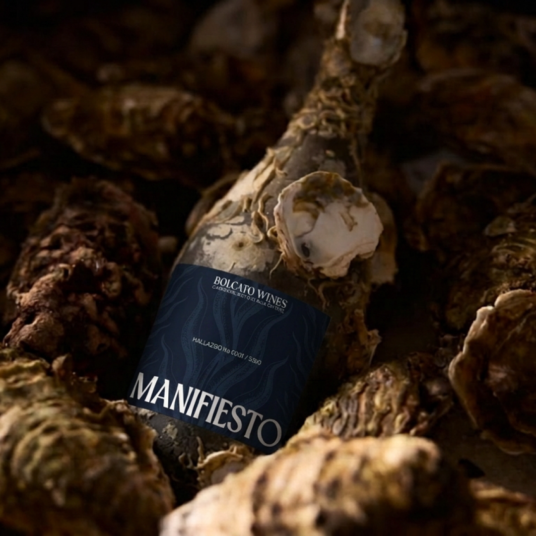 BOLCATO WINES