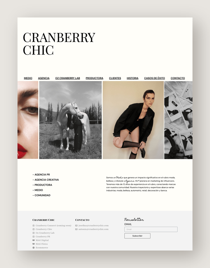 Cranberry Chic