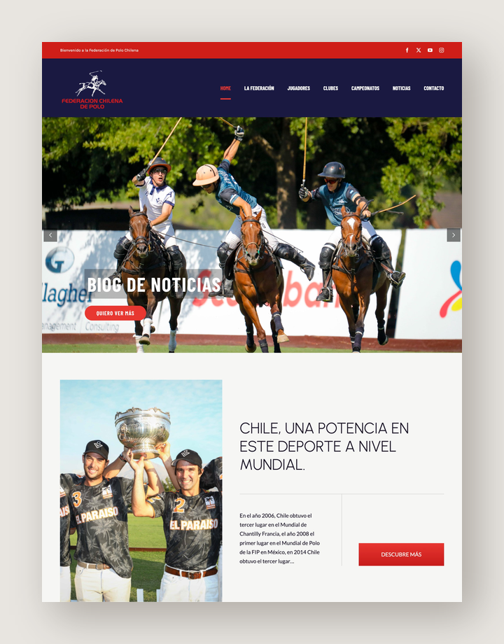 Federación de Polo