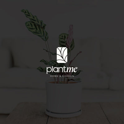 PlantMe