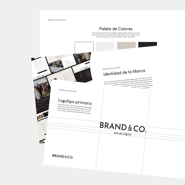 Desarrollo de Brandbook